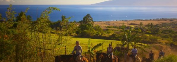 maui-horseback-riding