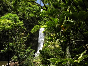 Hana Waterfalls 