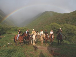 lahaina stables
