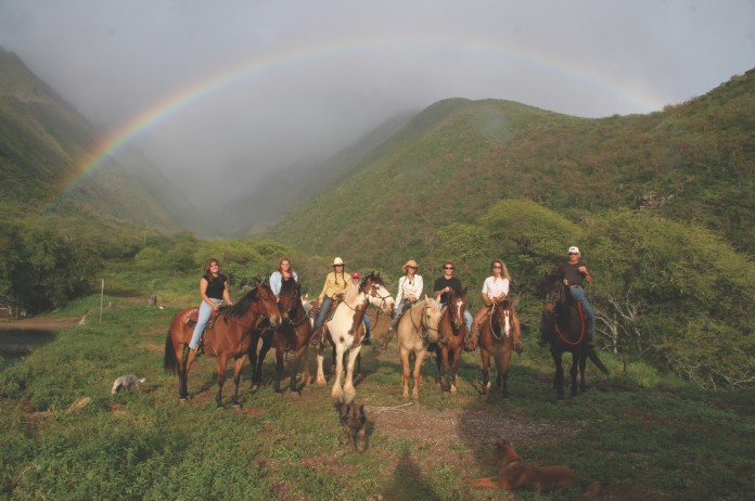 lahaina stables