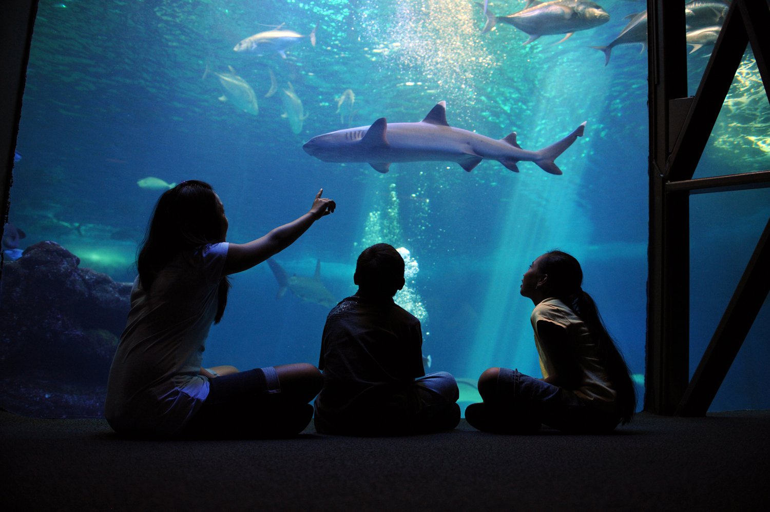 maui ocean center