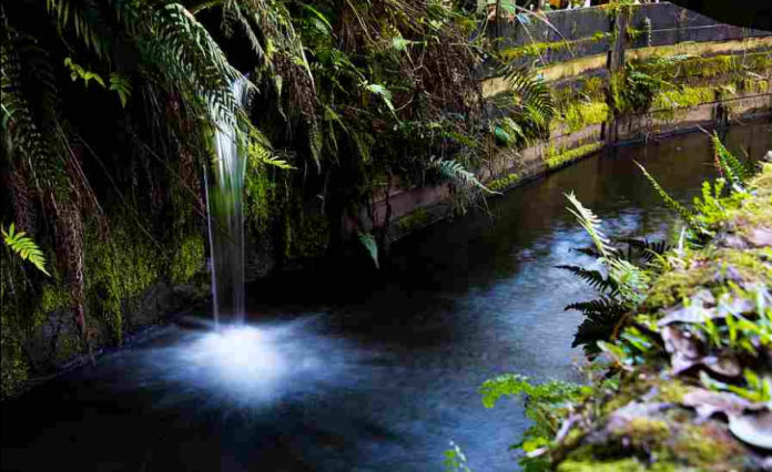 Flumin' Kohala Rainforest Adventure